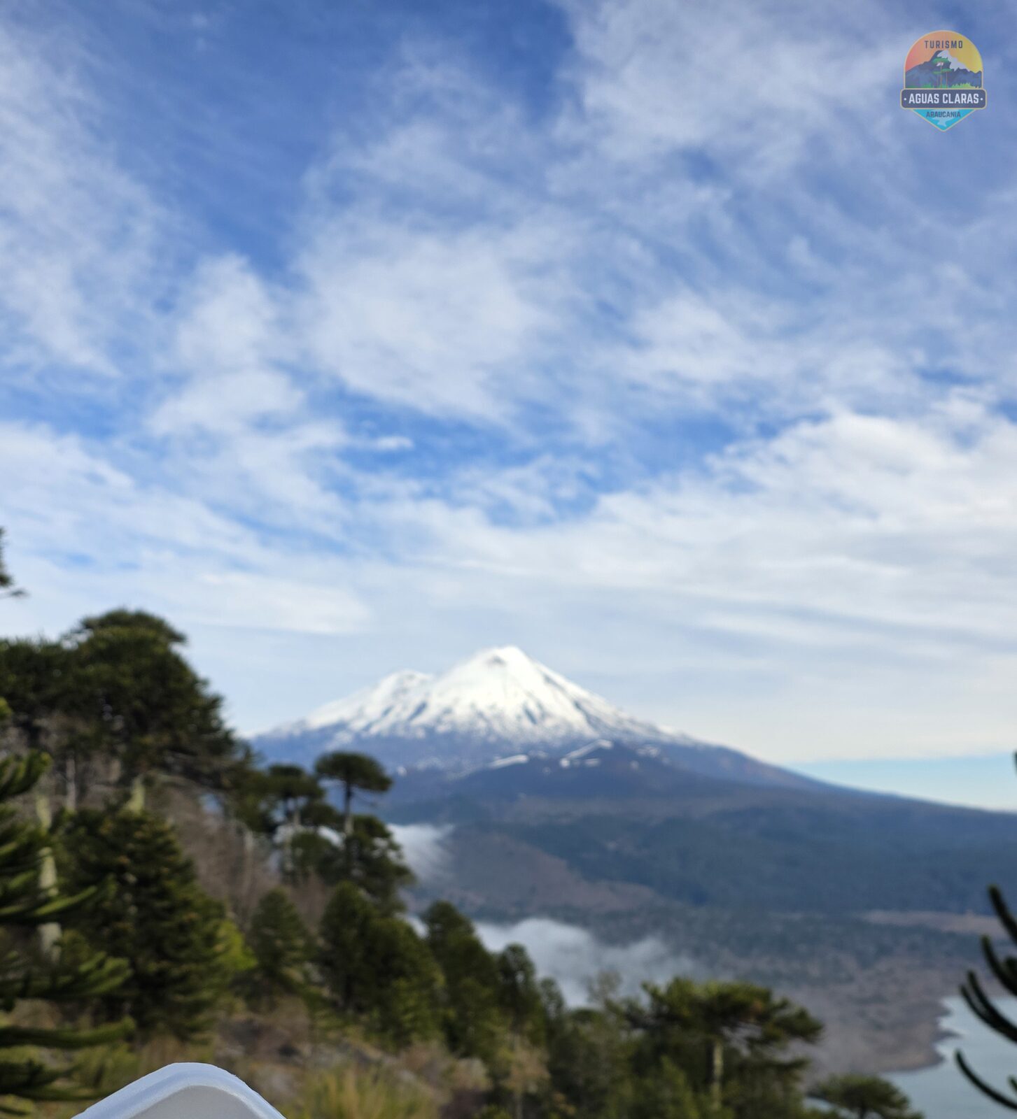 Volcán nevado entre araucarias en la Araucanía Andina