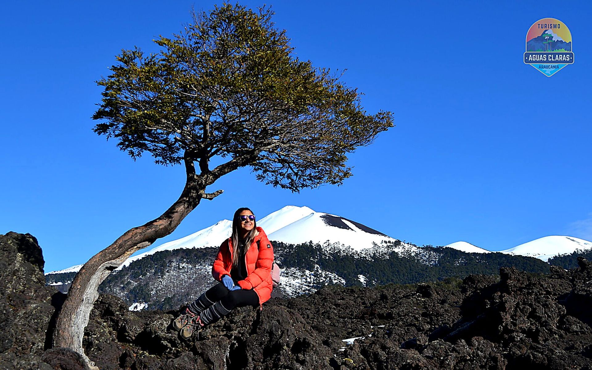 Visitante bajo un ñirre frente al volcán Llaima nevado en el Parque Nacional Conguillío